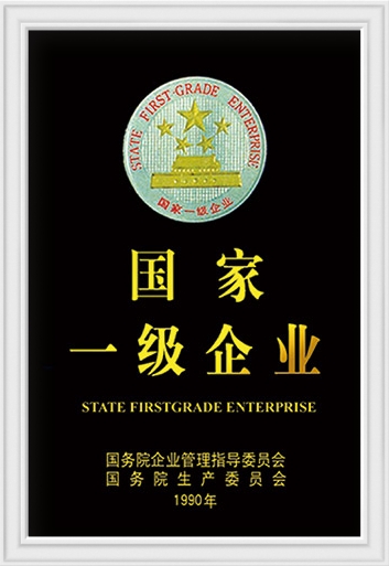 National First-level Enterprises