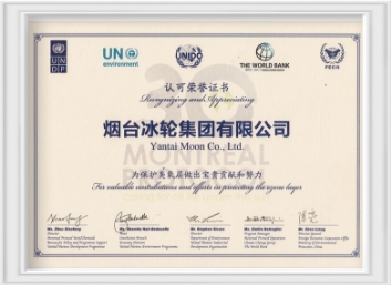 UN Certificate of Recognition for Protection of Ozone Layer