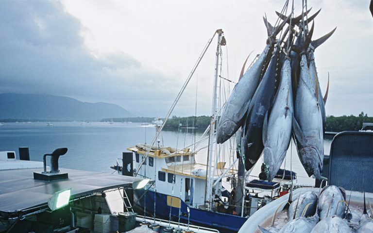 Seafoods
