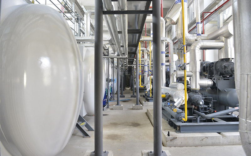 ADVANTAGES OF VACUUMFREEZE DRYING
