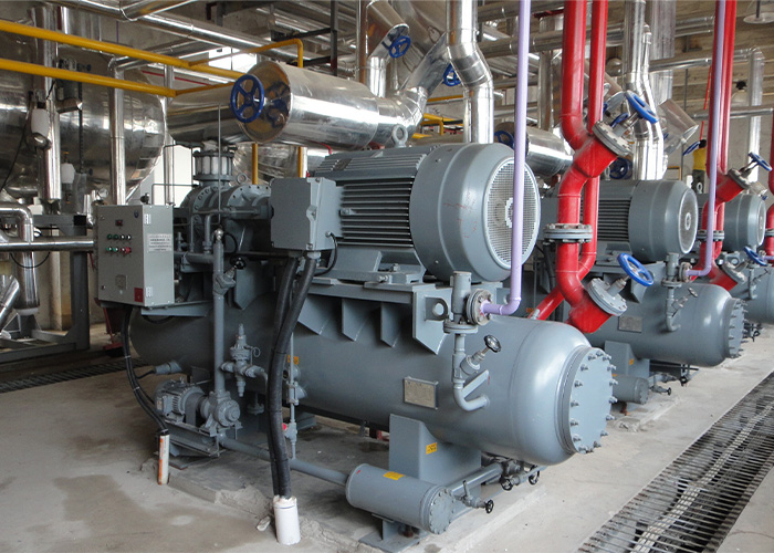 Ecuador-Promaro Shrimp Processing Plant-Screw Machine