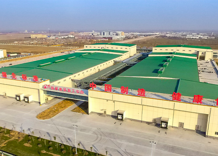 Fengxiang Food Processing Project - the largest C02 refrigeration system in Asia's meat industry3