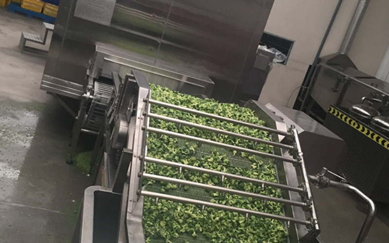 Fruit and Vegetable Processing4_4