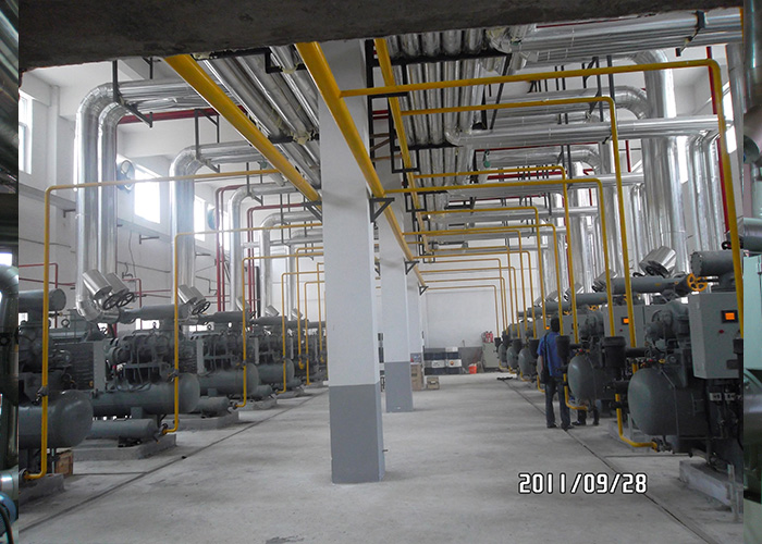 Fujian-Shengnong Chicken Slaughtering Project