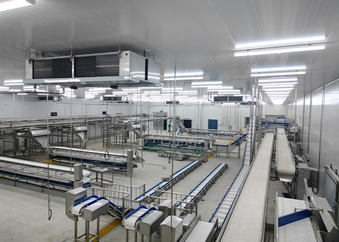 Haidu Squid Processing Plant Project in Peru111