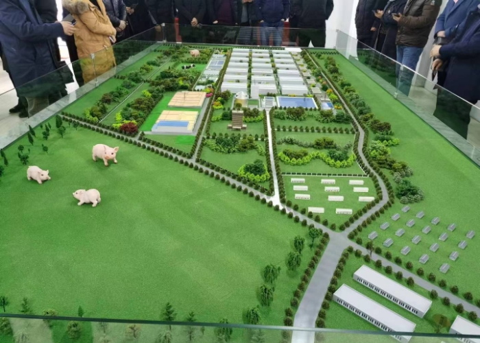 Muyuan 2 Million Head Hog Slaughtering, Processing & Cold Storage Project