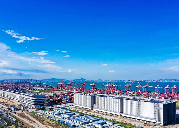 Evaluating Cold Storage Solution Options Based on Application Demands