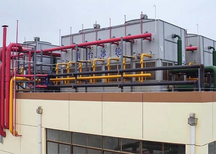 How Cold Storage Solution Design Drives Innovation in Industrial Logistics