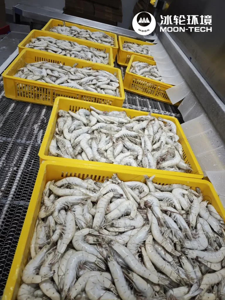 Which Refrigeration Solution Delivers Better Energy Efficiency for Shrimp Processing Plants