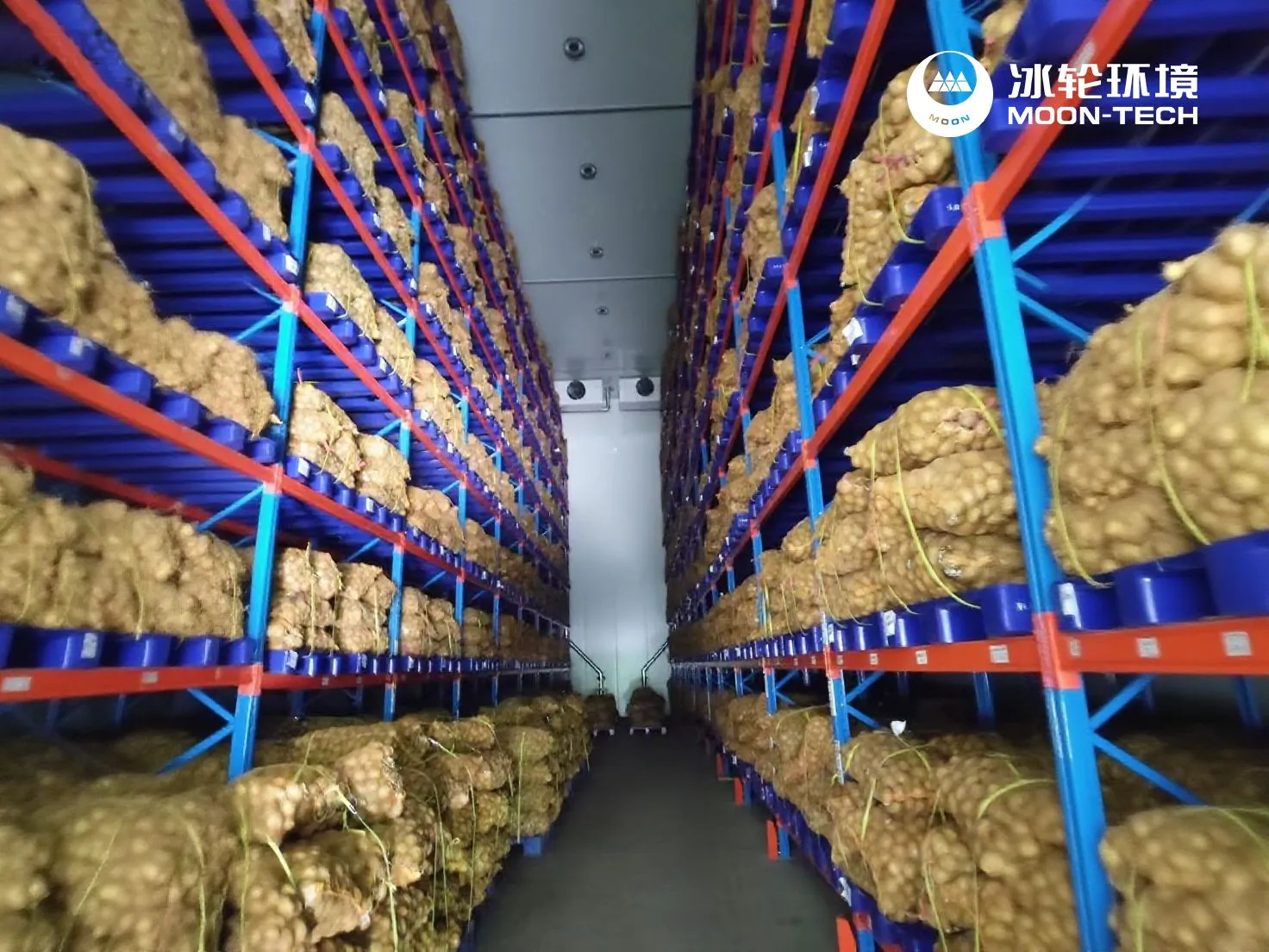 optimal food preservation