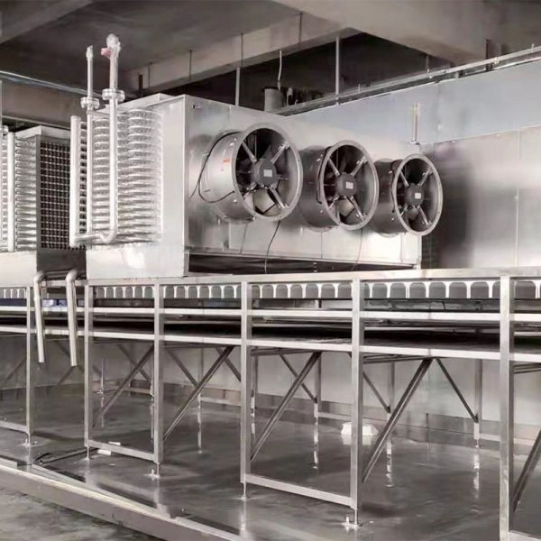 Implementation Considerations for South African Plants