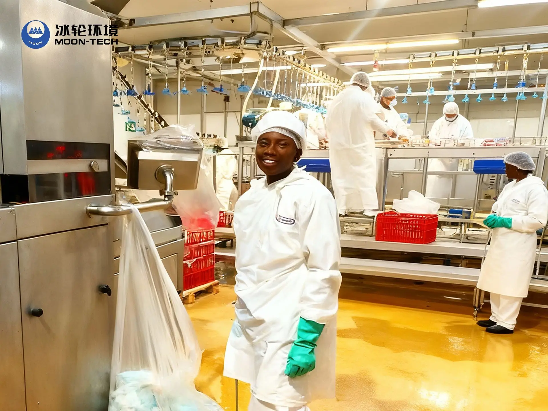 Measuring ROI from Modern Freezing Upgrades