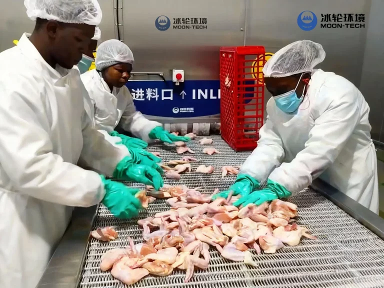 Why Modern Freezing Solutions Are Essential for South Africa Poultry Success