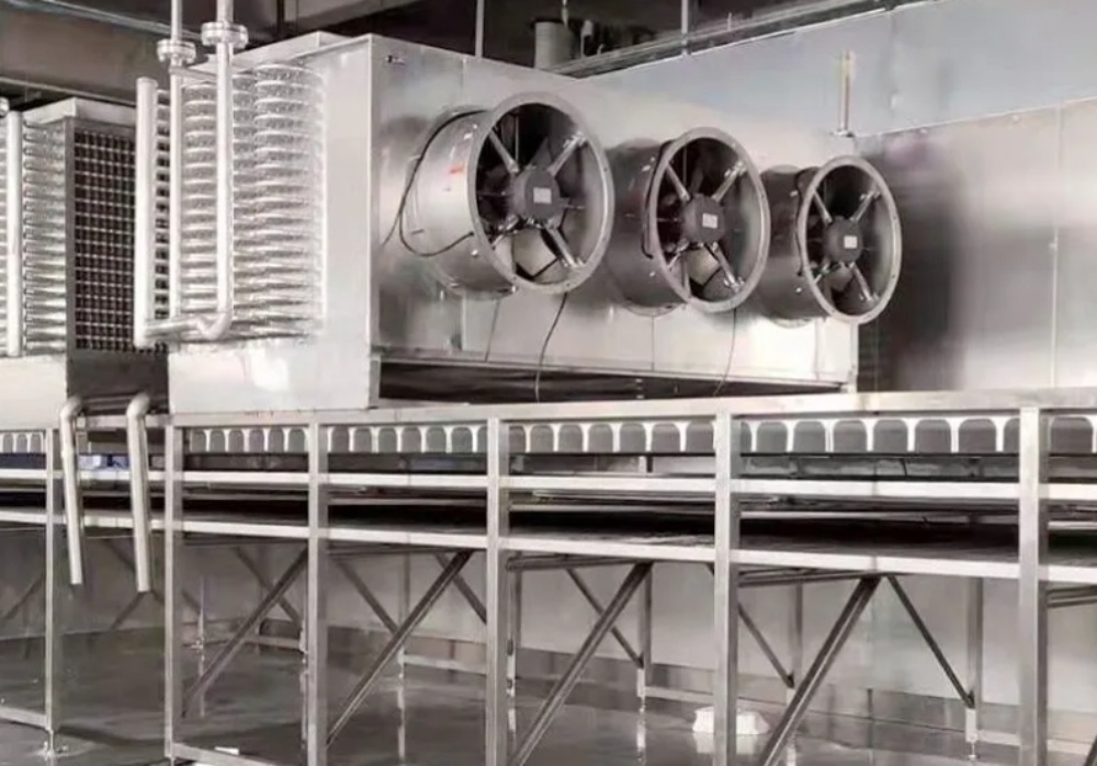 What Are the Best Secret Tips for Maximizing Quick Freezers Efficiency